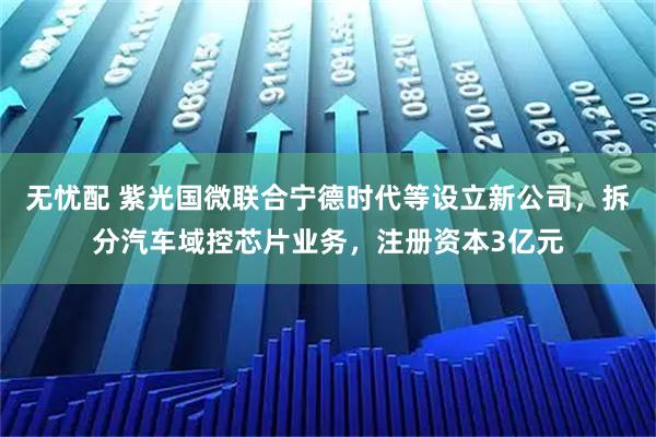 无忧配 紫光国微联合宁德时代等设立新公司，拆分汽车域控芯片业务，注册资本3亿元