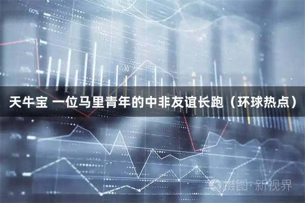 天牛宝 一位马里青年的中非友谊长跑（环球热点）