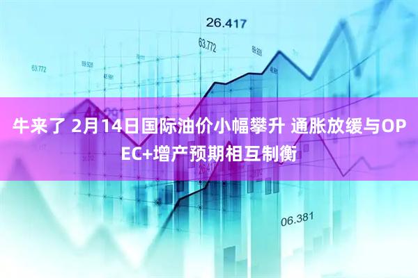 牛来了 2月14日国际油价小幅攀升 通胀放缓与OPEC+增产预期相互制衡