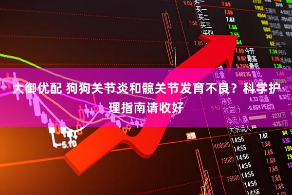 大御优配 狗狗关节炎和髋关节发育不良？科学护理指南请收好