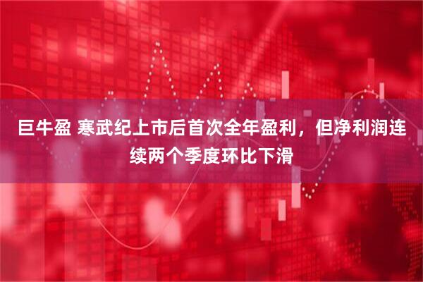 巨牛盈 寒武纪上市后首次全年盈利，但净利润连续两个季度环比下滑