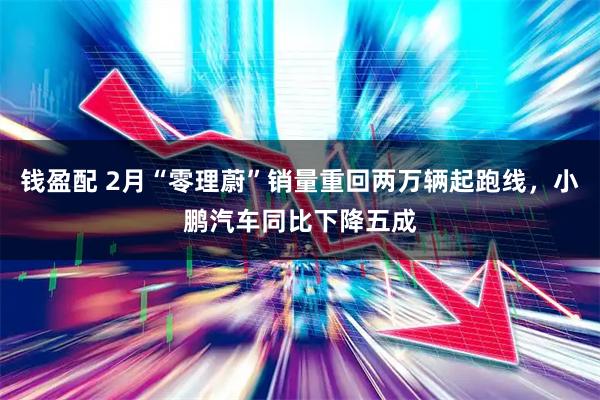 钱盈配 2月“零理蔚”销量重回两万辆起跑线，小鹏汽车同比下降五成